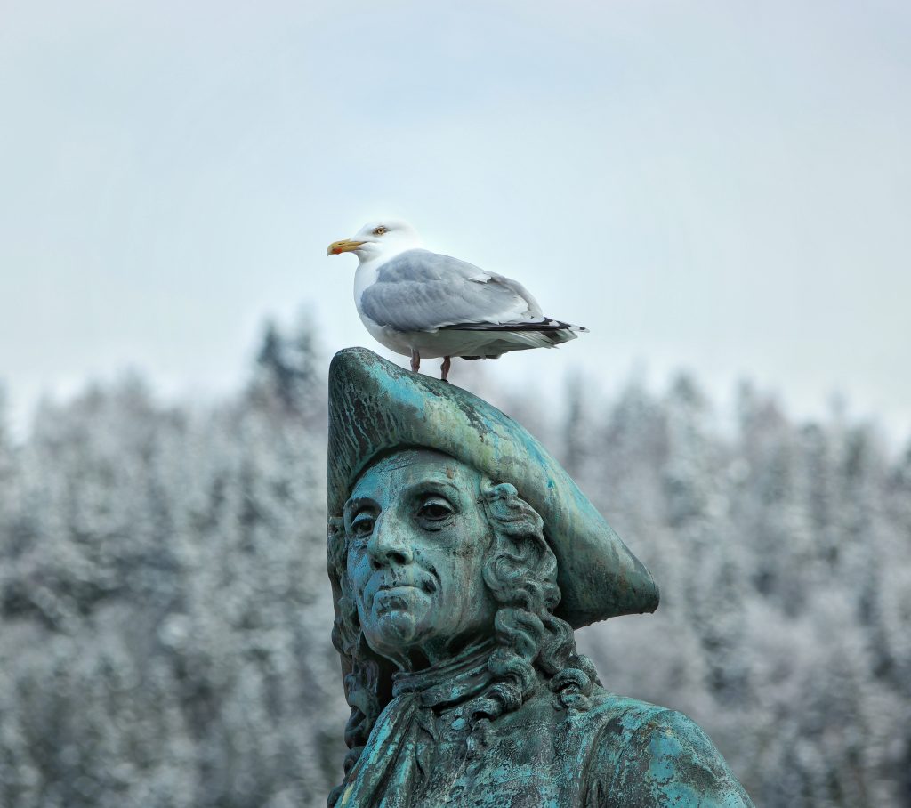 How To Spend 24 Hours in Bergen Norway