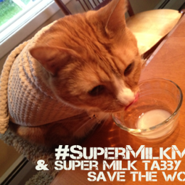 #SuperMilkMan & Super Milk Tabby Cat Save The World And #MilkWins
