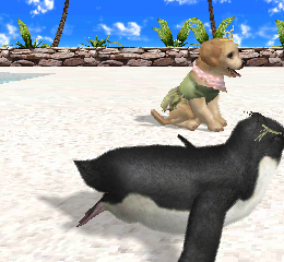 Petz Beach 3DS Review Dog and penguin Screen Shot