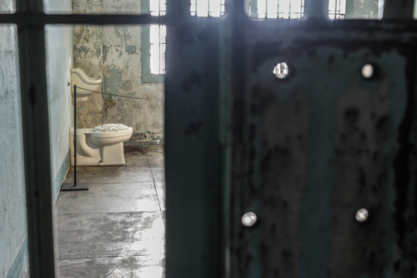 Ai Weiwei @Large Alcatraz Toilet Blossom