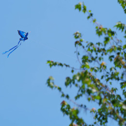 A Mom, Her Daughter and a Blue Butterfly Kite on Memorial Day 2015