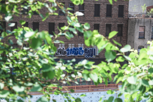 Photos from the NYC High Line Sunday June 14 2015