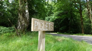 A Visit To The Real Hundred Acre Wood In England with Piglet and Pooh
