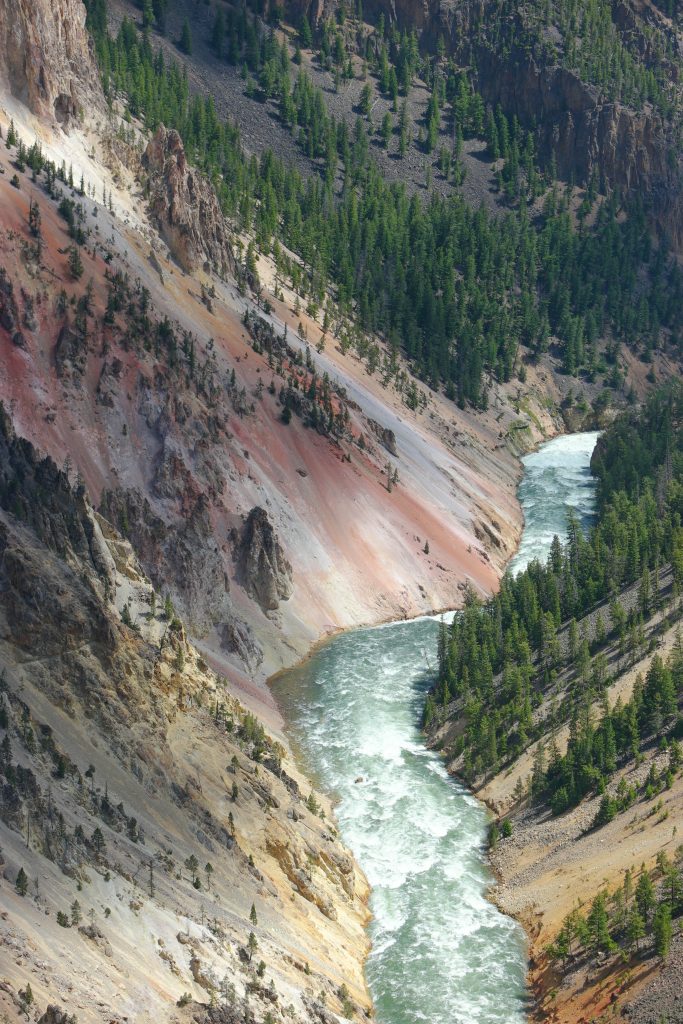 down river in Yellowstone's Grand Canyon