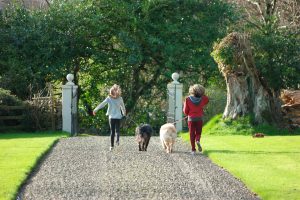 Perfect Ireland Holiday at Meelick House County Clare