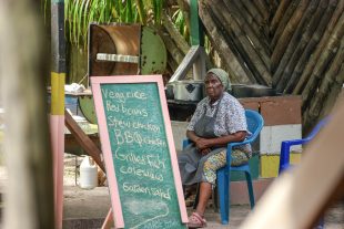 Of Howler Monkeys, Breadfruit, Brown Sugar and A Bridge Into The Rainforest — A Belize Travel Story